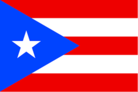 Logo Puerto RicoU16