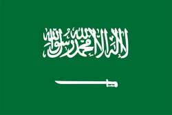 Logo Saudi Arabia (W)U20