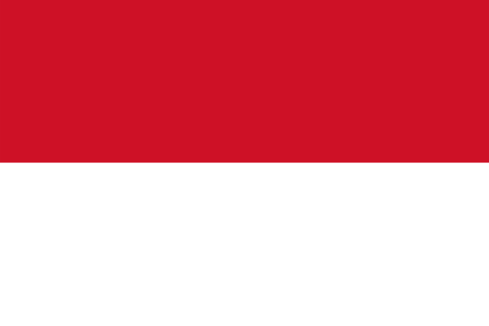 Logo Indonesia Women