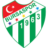 Logo Bursaspor