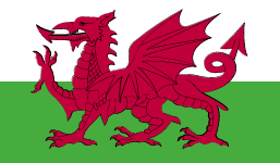 Logo Wales Women