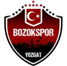 Logo Yozgat Bld Bozokspor